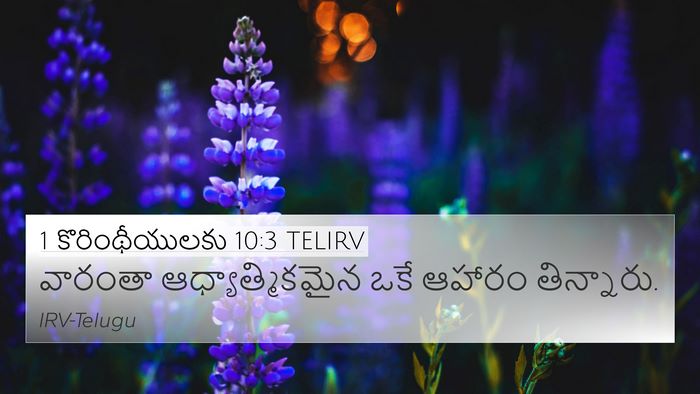 1 కొరింథీయులకు 10:3 TELIRV 4K Wallpaper - వారంతా - 4K Wallpaper Bible Verse