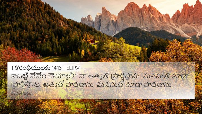 1 కొరింథీయులకు 14:15 TELIRV Bible Verse Image