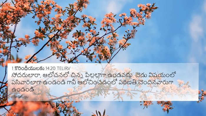 1 కొరింథీయులకు 14:20 TELIRV Bible Verse Image