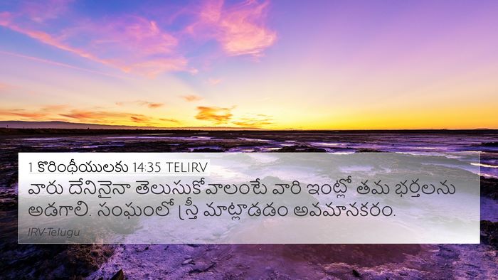 1 కొరింథీయులకు 14:35 TELIRV Bible Verse Image