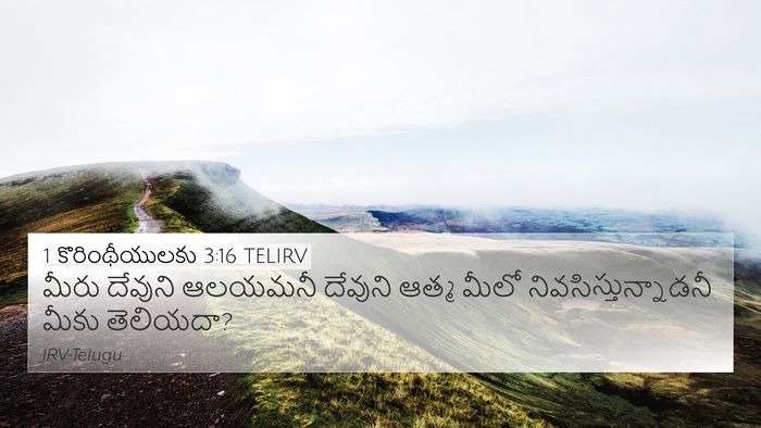 1 కొరింథీయులకు 3:16 TELIRV Bible Verse Image