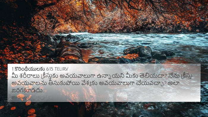 1 కొరింథీయులకు 6:15 TELIRV Bible Verse Image