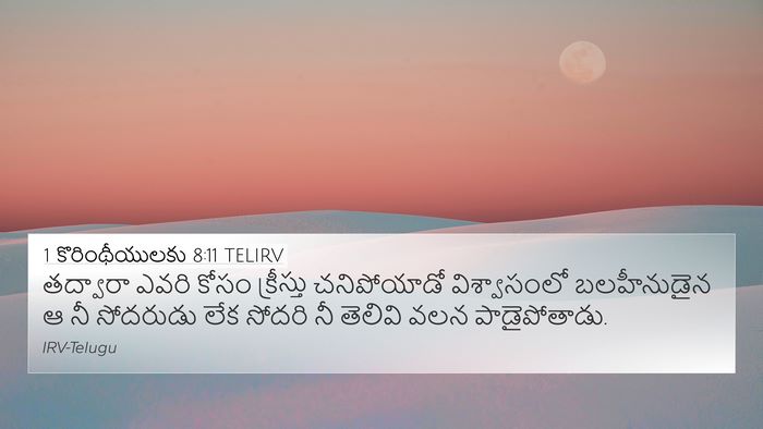 1 కొరింథీయులకు 8:11 TELIRV Bible Verse Image