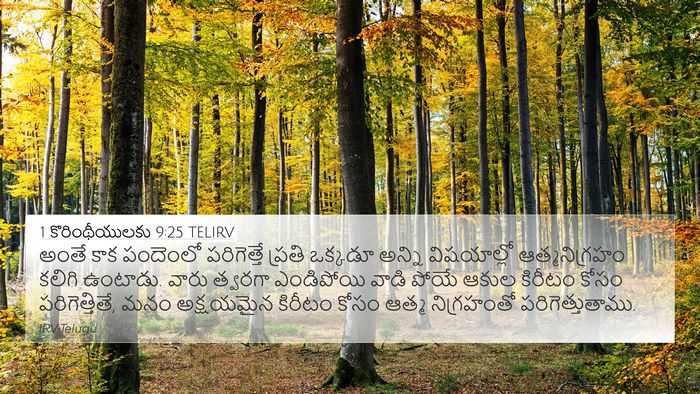 1 కొరింథీయులకు 9:25 TELIRV Bible Verse Image