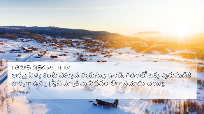 1 తిమోతి పత్రిక 5:9 TELIRV Bible Verse Image