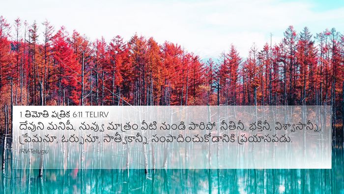 1 తిమోతి పత్రిక 6:11 TELIRV Bible Verse Image
