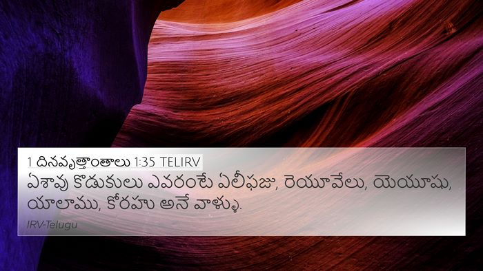 1 దినవృత్తాంతాలు 1:35 TELIRV Bible Verse Image