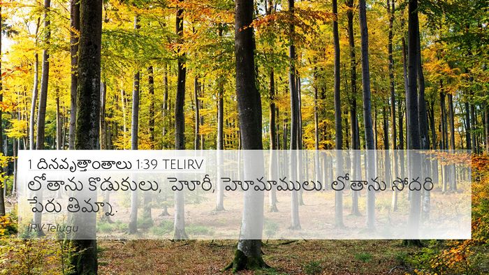 1 దినవృత్తాంతాలు 1:39 TELIRV 4K Wallpaper - లోతాను కొడుకులు, - 4K Wallpaper Bible Verse