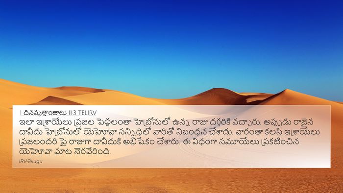 1 దినవృత్తాంతాలు 11:3 TELIRV Bible Verse Image