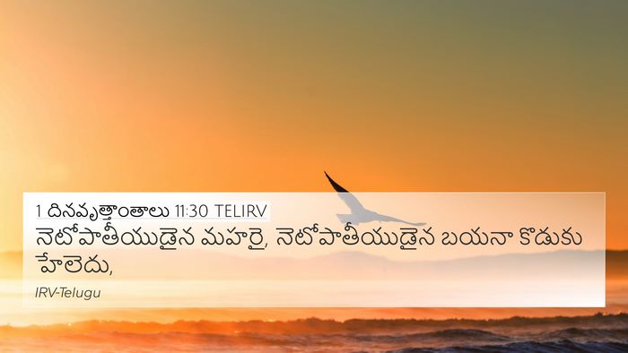 1 దినవృత్తాంతాలు 11:30 TELIRV Bible Verse Image