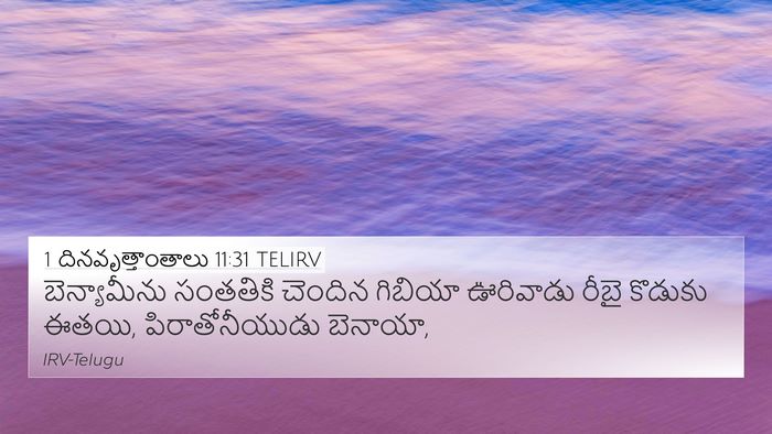 1 దినవృత్తాంతాలు 11:31 TELIRV Bible Verse Image