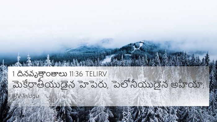 1 దినవృత్తాంతాలు 11:36 TELIRV 4K Wallpaper - మెకేరాతీయుడైన - 4K Wallpaper Bible Verse
