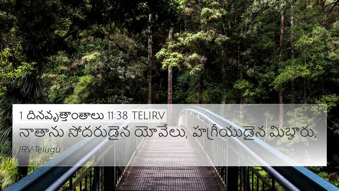 1 దినవృత్తాంతాలు 11:38 TELIRV Bible Verse Image