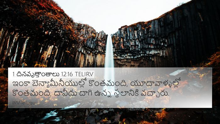 1 దినవృత్తాంతాలు 12:16 TELIRV Bible Verse Image