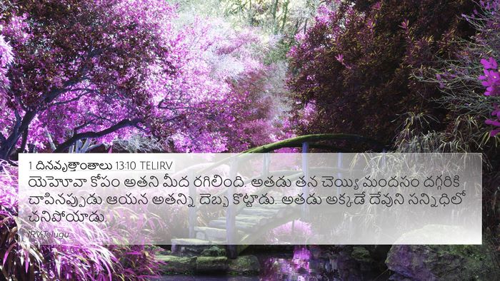 1 దినవృత్తాంతాలు 13:10 TELIRV Bible Verse Image