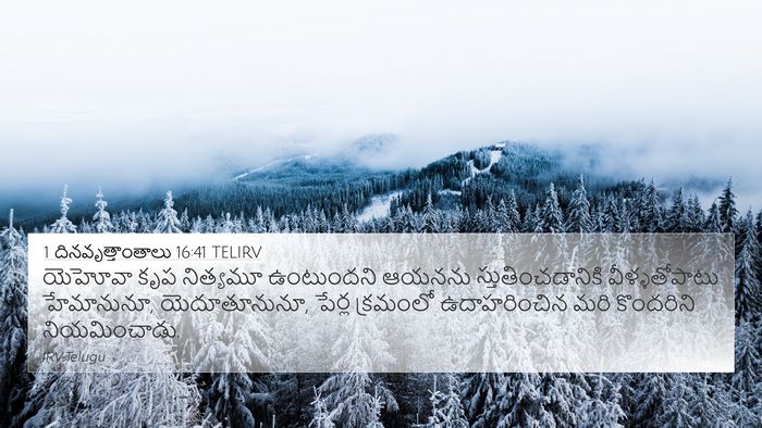 1 దినవృత్తాంతాలు 16:41 TELIRV Bible Verse Image