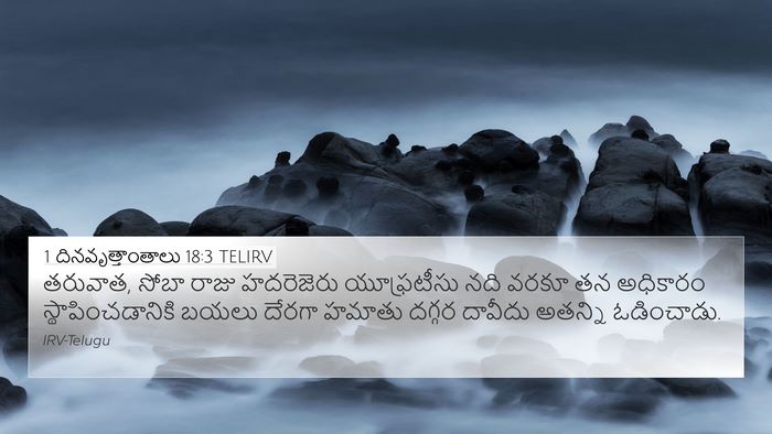 1 దినవృత్తాంతాలు 18:3 TELIRV Bible Verse Image