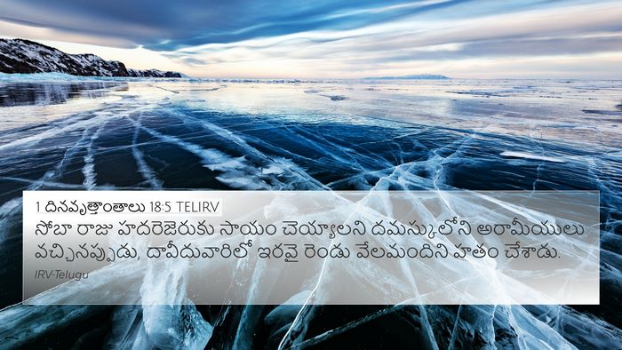 1 దినవృత్తాంతాలు 18:5 TELIRV Bible Verse Image