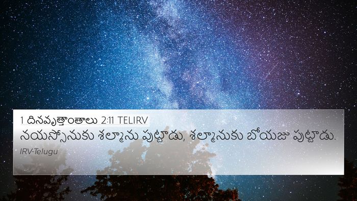 1 దినవృత్తాంతాలు 2:11 TELIRV Bible Verse Image