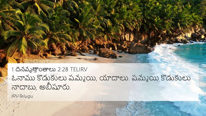 1 దినవృత్తాంతాలు 2:28 TELIRV 4K Wallpaper - ఓనాము కొడుకులు - 4K Wallpaper Bible Verse