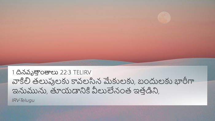 1 దినవృత్తాంతాలు 22:3 TELIRV Bible Verse Image
