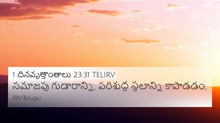 1 దినవృత్తాంతాలు 23:31 TELIRV Bible Verse Image