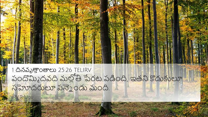 1 దినవృత్తాంతాలు 25:26 TELIRV 4K Wallpaper - పందొమ్మిదవది - 4K Wallpaper Bible Verse