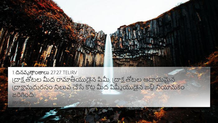 1 దినవృత్తాంతాలు 27:27 TELIRV Bible Verse Image