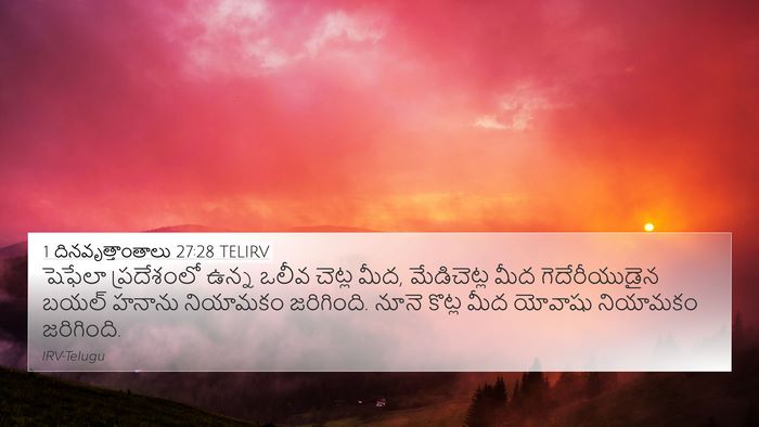 1 దినవృత్తాంతాలు 27:28 TELIRV Bible Verse Image