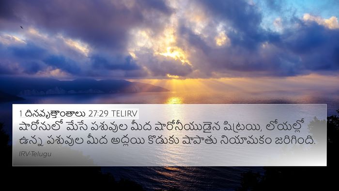 1 దినవృత్తాంతాలు 27:29 TELIRV Bible Verse Image