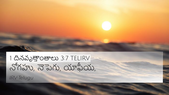 1 దినవృత్తాంతాలు 3:7 TELIRV 4K Wallpaper - నోగహు, నెపెగు, - 4K Wallpaper Bible Verse