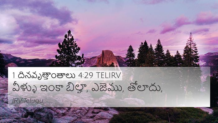 1 దినవృత్తాంతాలు 4:29 TELIRV Bible Verse Image