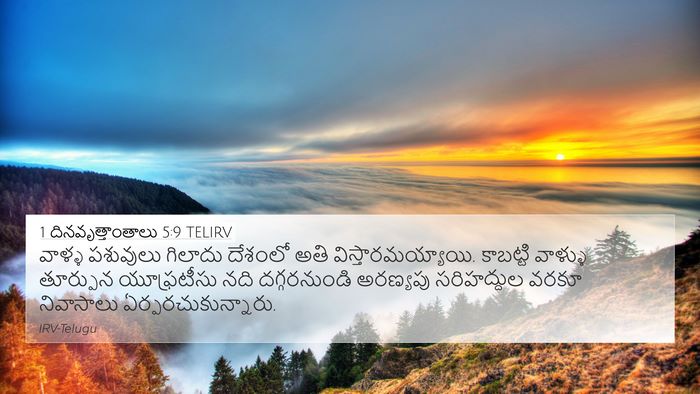 1 దినవృత్తాంతాలు 5:9 TELIRV Bible Verse Image