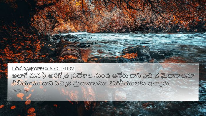 1 దినవృత్తాంతాలు 6:70 TELIRV Bible Verse Image