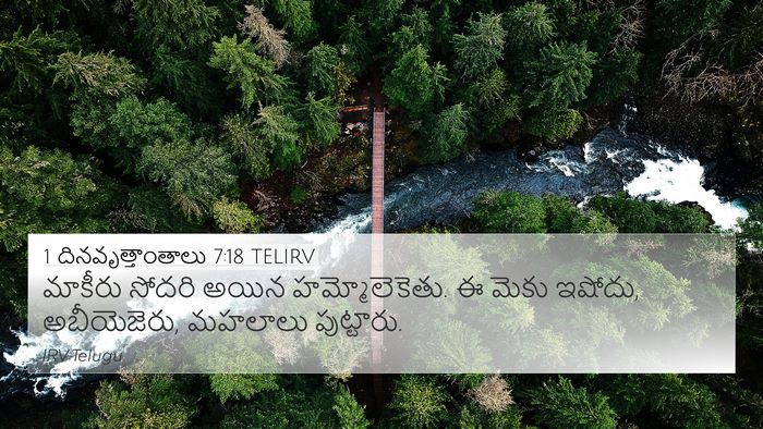 1 దినవృత్తాంతాలు 7:18 TELIRV Bible Verse Image