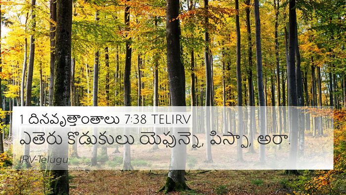 1 దినవృత్తాంతాలు 7:38 TELIRV 4K Wallpaper - ఎతెరు కొడుకులు - 4K Wallpaper Bible Verse
