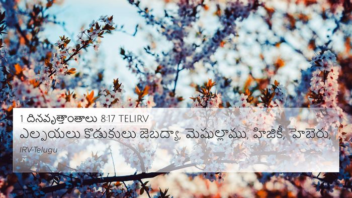 1 దినవృత్తాంతాలు 8:17 TELIRV 4K Wallpaper - ఎల్పయలు కొడుకులు - 4K Wallpaper Bible Verse