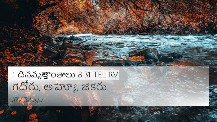 1 దినవృత్తాంతాలు 8:31 TELIRV Bible Verse Image