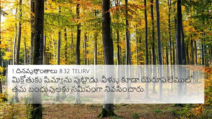1 దినవృత్తాంతాలు 8:32 TELIRV 4K Wallpaper - మిక్లోతుకు - 4K Wallpaper Bible Verse