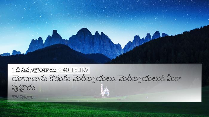 1 దినవృత్తాంతాలు 9:40 TELIRV Bible Verse Image