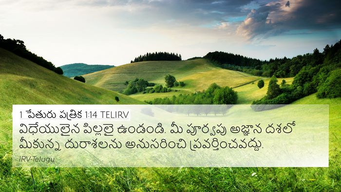 1 పేతురు పత్రిక 1:14 TELIRV Bible Verse Image