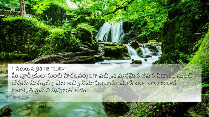 1 పేతురు పత్రిక 1:18 TELIRV Bible Verse Image