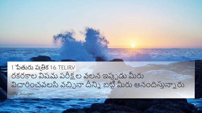 1 పేతురు పత్రిక 1:6 TELIRV Bible Verse Image