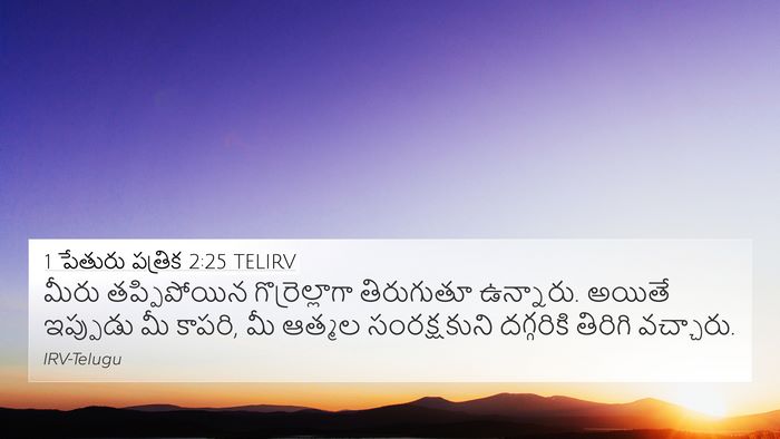 1 పేతురు పత్రిక 2:25 TELIRV Bible Verse Image