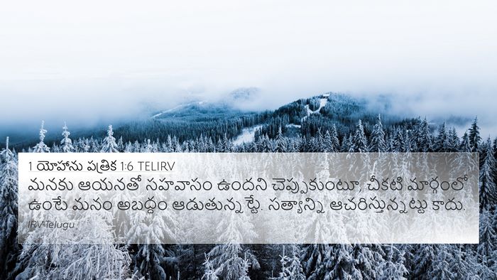 1 యోహాను పత్రిక 1:6 TELIRV Bible Verse Image