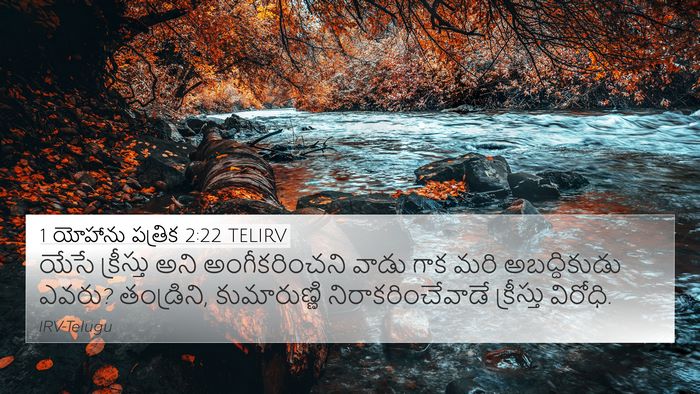 1 యోహాను పత్రిక 2:22 TELIRV Bible Verse Image