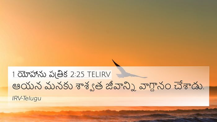 1 యోహాను పత్రిక 2:25 TELIRV Bible Verse Image