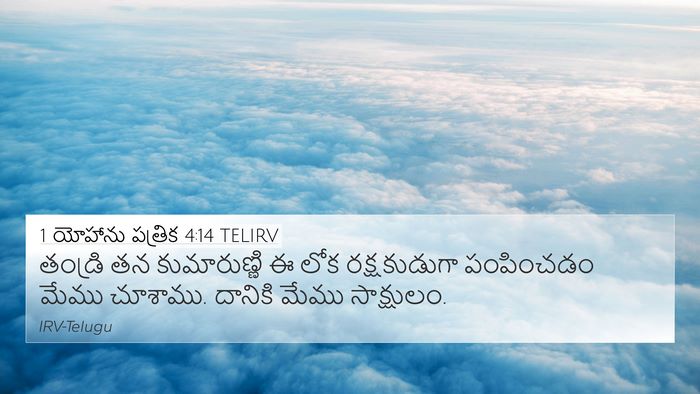 1 యోహాను పత్రిక 4:14 TELIRV Bible Verse Image