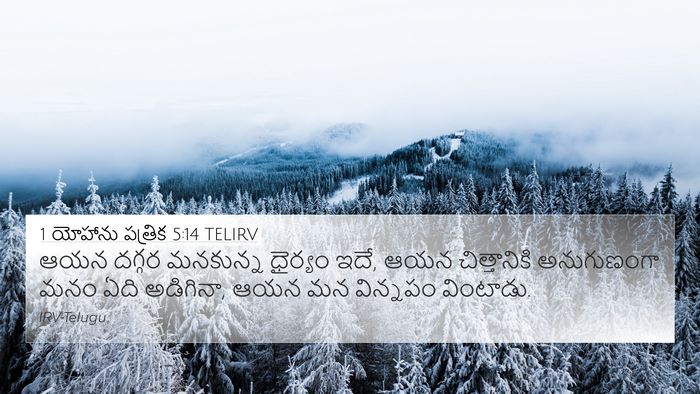 1 యోహాను పత్రిక 5:14 TELIRV Bible Verse Image