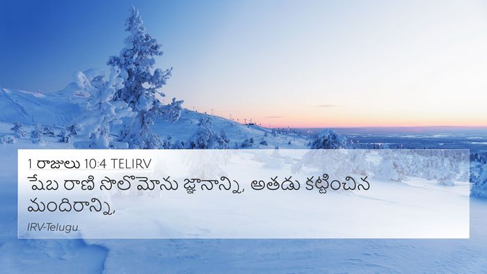 1 రాజులు 10:4 TELIRV Bible Verse Image